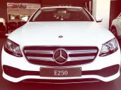 Bán xe New E250 2017 chính hãng