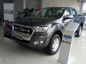 Cần bán Ford Ranger XLT 4x4 MT đời 2017, màu xám (ghi), nhập khẩu chính hãng, giá tốt