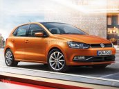 Giá xe Polo Hacthback màu cam, xe nhập. LH Hương: 0902.608.293 để xem xe tại showroom