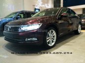 Bán Volkswagen Passat GP - Sedan sang trọng đẳng cấp Châu Âu nhập khẩu từ Đức - Quang Long 0933689294