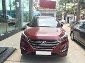 Bán Hyundai Tucson 2017 - bản đặc biệt khuyến mại khủng