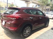 Bán Hyundai Tucson 2017 - bản đặc biệt khuyến mại khủng