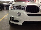 Bán xe BMW X5 xDrive35i đời 2017, màu trắng, nhập khẩu. Cam kết giá tốt nhất, giao xe sớm nhất, đủ màu