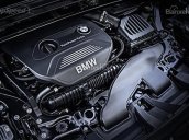 Bán xe BMW X1 sDrive18i đời 2017, màu nâu, xe nhập. Bán xe BMW chính hãng tại Quảng Trị