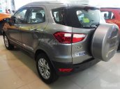 Bán ô tô Ford EcoSport Titanium 1.5AT đời 2017, mới 100%