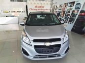 Cần bán xe Chevrolet Spark Van đời 2017, màu bạc giá cạnh tranh