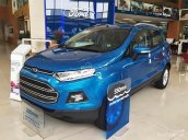 Xe Ford EcoSport Titanium 1.5L AT 2017