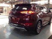 Hyundai Tucson 2.0 AT, nhập khẩu nguyên chiếc phiên bản đặc biệt