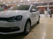 Bán xe Volkswagen Polo AT 2017, màu trắng