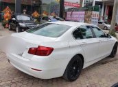 Cần bán BMW 5 Series 520i 2014, màu trắng, nhập khẩu nguyên chiếc