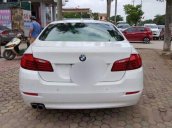 Cần bán BMW 5 Series 520i 2014, màu trắng, nhập khẩu nguyên chiếc