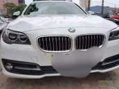 Cần bán BMW 5 Series 520i 2014, màu trắng, nhập khẩu nguyên chiếc