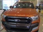 Chỉ cần 180 triệu là sẽ sở hữu ngay Ford Ranger 2017 mới Wildtrak, XLT, XLS, XL ưu đãi lớn, hỗ trợ trả góp hơn 80%