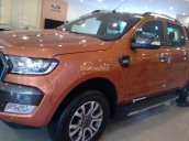 Chỉ cần 180 triệu là sẽ sở hữu ngay Ford Ranger 2017 mới Wildtrak, XLT, XLS, XL ưu đãi lớn, hỗ trợ trả góp hơn 80%