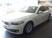 Bán BMW 5 Series 528i 2015, đăng ký tháng 7/2016