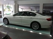 Bán BMW 5 Series 528i 2015, đăng ký tháng 7/2016