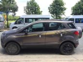 Bán Ford EcoSport Titanium 1.5 AT năm 2017, màu xám, giá chỉ 0 triệu