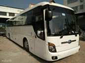 Bán xe Hyundai Universe đời 2008 máy điện