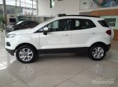 Bán xe Ford Ecosport titanium, Ecosport SVP 2017 giá rẻ, xe sẵn Lh: 0934633898