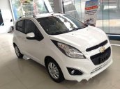 Cần bán xe Chevrolet Spark LTZ đời 2015, nhà bảo dưỡng tại hãng