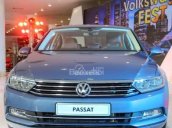 Xe giao ngay Volkswagen Passat 1.8 TSI màu xanh da trời - Để tư vấn thêm về dòng xe LH Hương: 0902.608.293