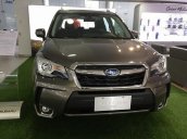 Cần bán Subaru Forester 2.0 XT AWD đời 2017, màu nâu