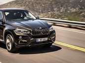 Bán BMW X6 xDrive35i đời 2017, màu nâu, xe nhập