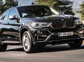 Bán BMW X6 xDrive35i đời 2017, màu nâu, xe nhập