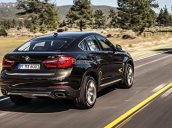 Bán BMW X6 xDrive35i đời 2017, màu nâu, xe nhập