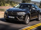 Bán BMW X6 xDrive35i đời 2017, màu nâu, xe nhập