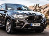 Bán BMW X6 xDrive35i đời 2017, màu nâu, xe nhập