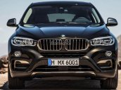 Bán BMW X6 xDrive35i đời 2017, màu nâu, xe nhập