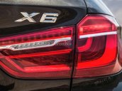 Bán BMW X6 xDrive35i đời 2017, màu nâu, xe nhập