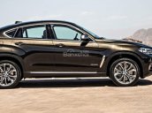 Bán BMW X6 xDrive35i đời 2017, màu nâu, xe nhập