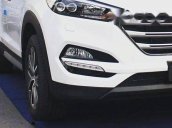 Bán xe Hyundai Santa Fe 2017, tự động, nhiên liệu xăng