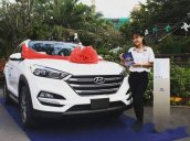 Bán xe Hyundai Santa Fe 2017, tự động, nhiên liệu xăng