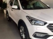 Bán xe Hyundai Santa Fe 2017, tự động, nhiên liệu xăng
