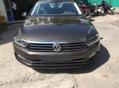 Volkswagen Passat E đời 2016, màu nâu, xe nhập Đức. Cạnh tranh với Camry 2.5Q, BMW 320i, LH Hương 0902.608.293