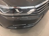 Volkswagen Passat E đời 2016, màu nâu, xe nhập Đức. Cạnh tranh với Camry 2.5Q, BMW 320i, LH Hương 0902.608.293