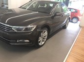 Volkswagen Passat E đời 2016, màu nâu, xe nhập Đức. Cạnh tranh với Camry 2.5Q, BMW 320i, LH Hương 0902.608.293