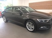 Volkswagen Passat E đời 2016, màu nâu, xe nhập Đức. Cạnh tranh với Camry 2.5Q, BMW 320i, LH Hương 0902.608.293