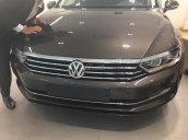 Volkswagen Passat E đời 2016, màu nâu, xe nhập Đức. Cạnh tranh với Camry 2.5Q, BMW 320i, LH Hương 0902.608.293