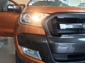 Ford Ranger Wildtrak 3.2 4x4 AT đủ màu, giao ngay, hỗ trợ trả góp 85% - LH: 0986881681 để được giá tốt