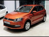 Cần bán xe Volkswagen Polo đời 2017, màu vàng cam, xe nhập - Đẳng cấp châu Âu. Lh: 0931416628