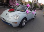 Cần bán gấp Volkswagen Beetle AT đời 2005, nhập khẩu chính hãng giá cạnh tranh