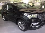 Cần bán xe Hyundai Santa Fe đời 2018, màu đen, bán bằng mọi giá: 0961917516