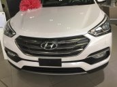 Bán Hyundai Santa FE 2017 ưu đãi hấp dẫn