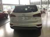 Bán Hyundai Santa FE 2017 ưu đãi hấp dẫn