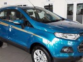 Bán Ford EcoSport năm 2017, màu xanh