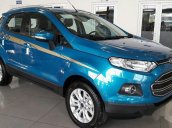 Bán Ford EcoSport năm 2017, màu xanh